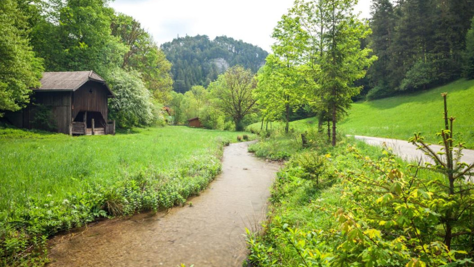 Wanderweg zum Kieneck - Bachlauf